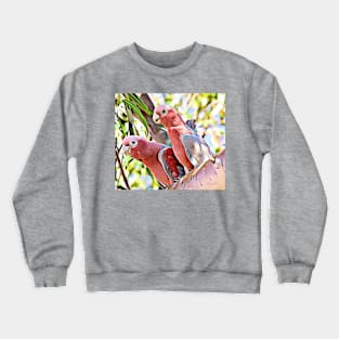 2 Galahs Crewneck Sweatshirt